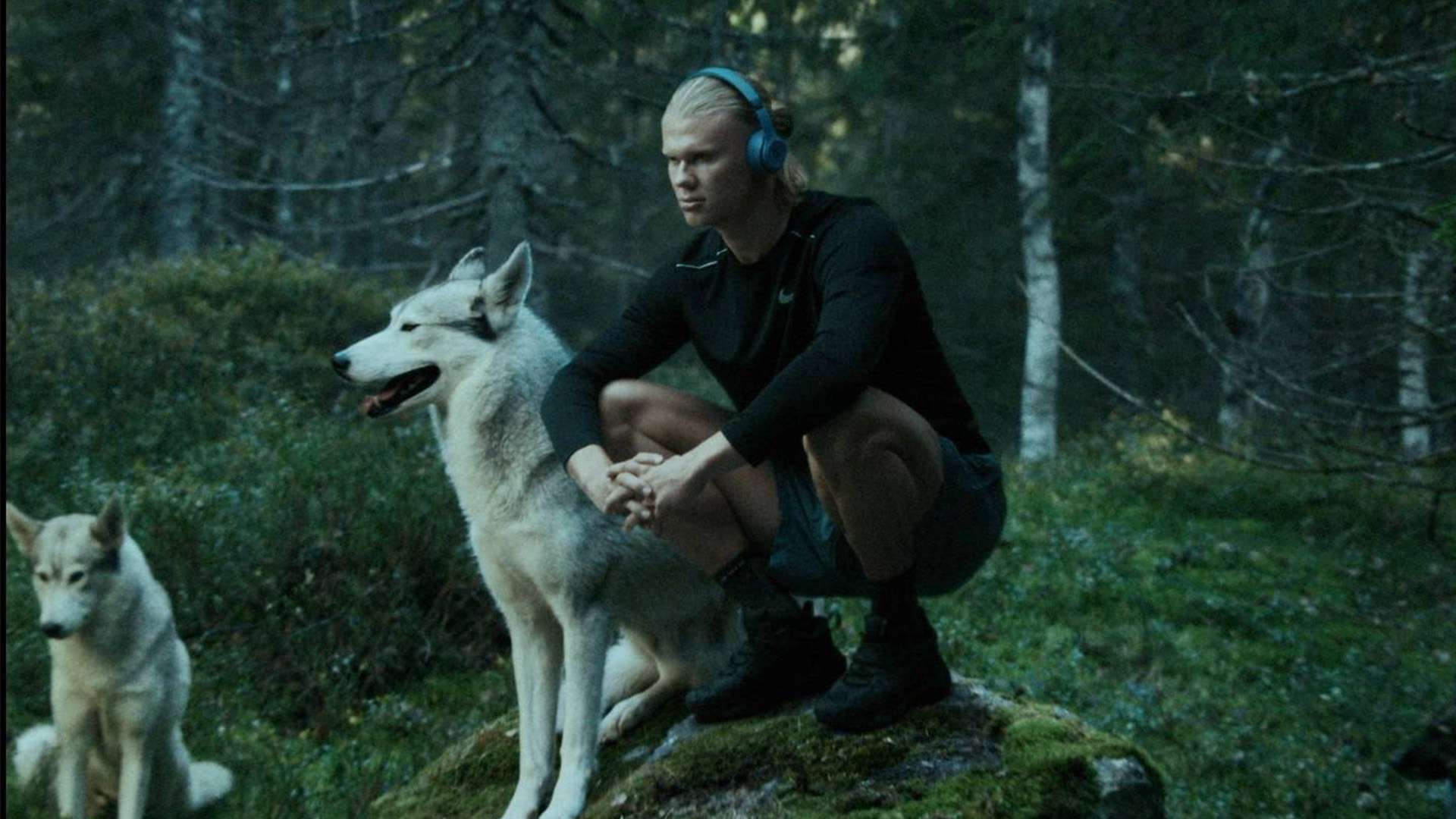 取得一場漂 取得一場漂