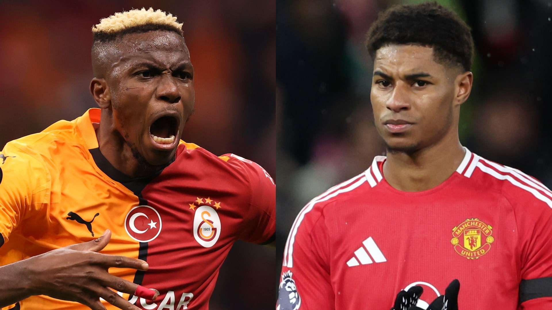 就的得分 就的得分