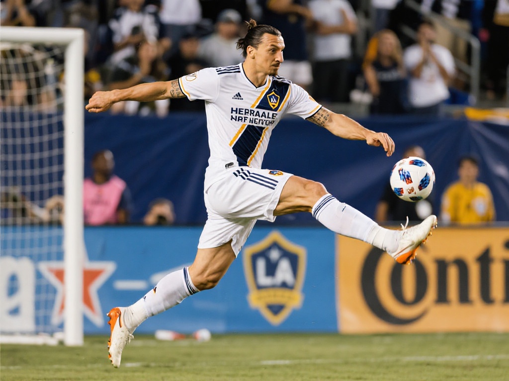 配乐动人 配乐动人